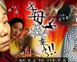 野外久久人妻精品资援站海报